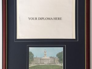 martin barry diploma