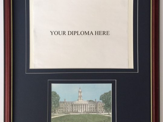 martin barry diploma