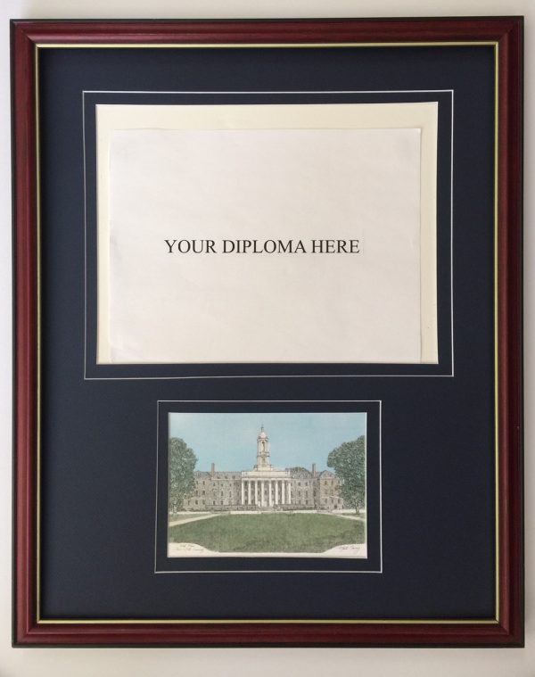 martin barry diploma